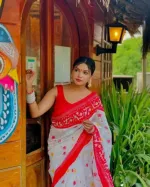 Half Silk Block Print Saree with Jamdani Design, 4 Colours