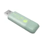 Team C175 ECO 128GB USB 3.2 পেন ড্রাইভ – গ্রে