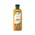 Herbal Essences Bio Renew গোল্ডেন মরিঙ্গা অয়েল স্মুথ শ্যাম্পু 400ml
