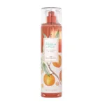 Bath & Body Works Pretty As a Peach ফাইন ফ্রেগরেন্স মিস্ট 236ml