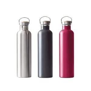 থার্মো ট্রাভেল ফ্লাস্ক Radiant 500 ML (অ্যাসর্টেড)