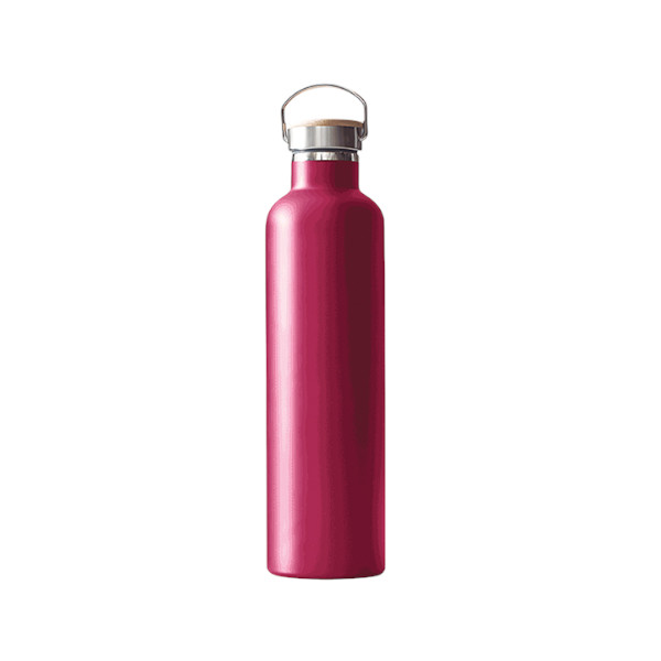 Thermo Travel Flask - Radiant ৬০০ মিলি অ্যাসোর্টেড