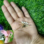 Fantasy কালারফুল অ্যাক্রিলিক বাটারফ্লাই পেনডেন্ট নেকলেস (মেয়েদের)