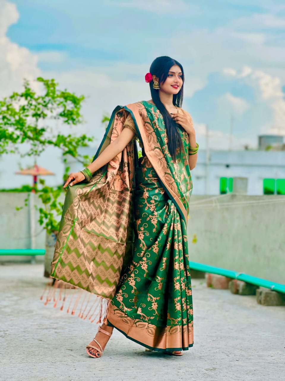 Full Body Zari Banarasi Katan Saree, 12 Haath, No Blouse