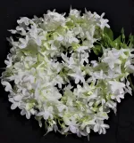 মেয়েদের কৃত্রিম চুলের ফুল (গাজরা ফুল)