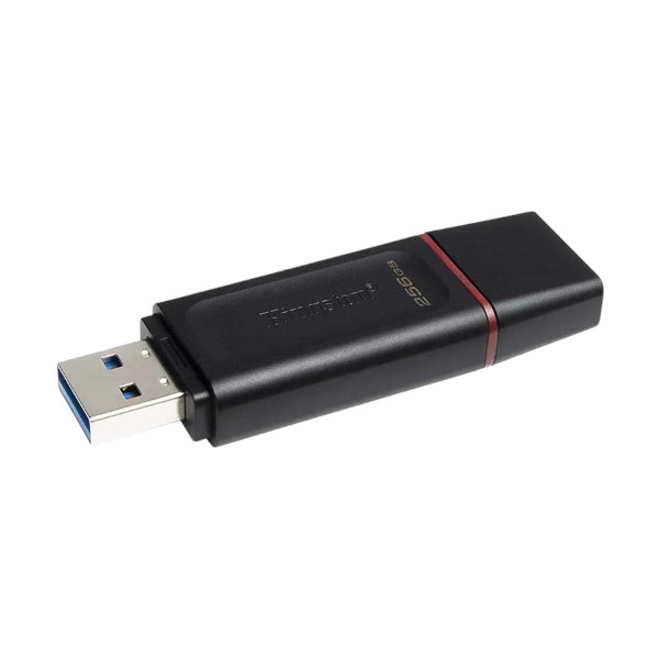 কিংস্টন ডেটা ট্র্যাভেলার এক্সোডিয়া 256GB USB 3.2 পেন ড্রাইভ