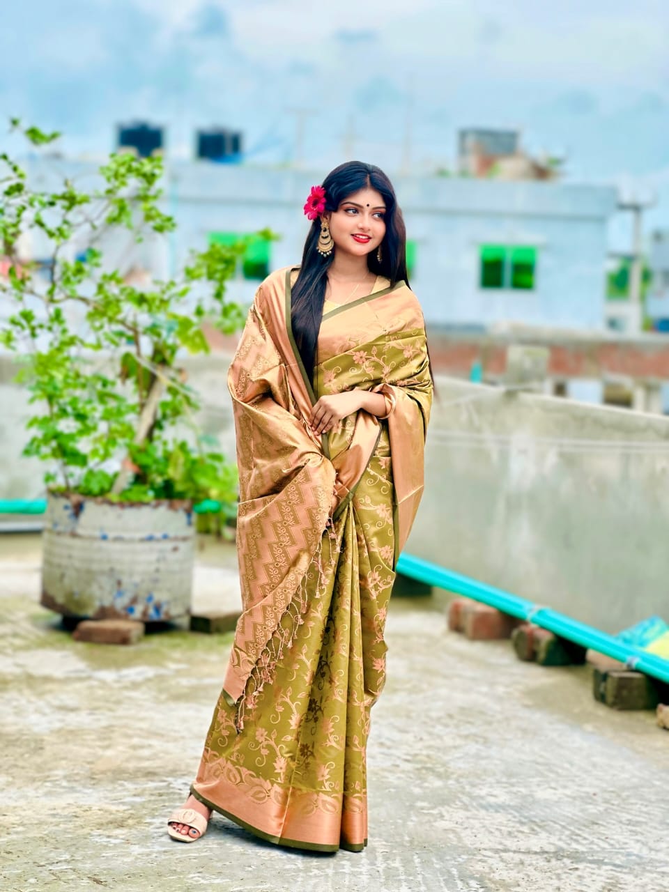 Full Body Zari Banarasi Katan Saree, 12 Haath, No Blouse