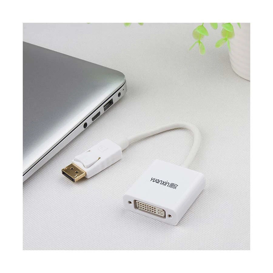 Yuanxin YDP-015 DisplayPort Male to DVI Female White Converter
