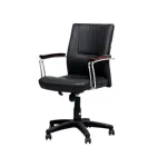 Regal সুইভেল অফিস চেয়ার CSM-221-3-1-20