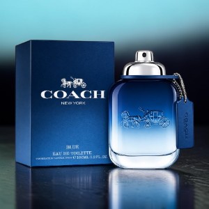 Coach Blue Eau De Toilette Natural Spray 100ml (France)