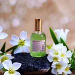 Arabian Jasmine পারফিউম 100 ml