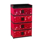 ACI Kitchen Master 4 Step কিচেন অর্গানাইজার (লাল)