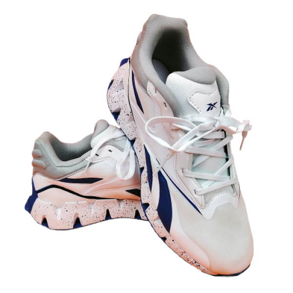 Reebok Zig Dynamica 4 স্পোর্টস জুতা – AES 210