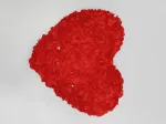 হার্ট শেপ লাল লাভ পিলো – উপহারের সফট টয়