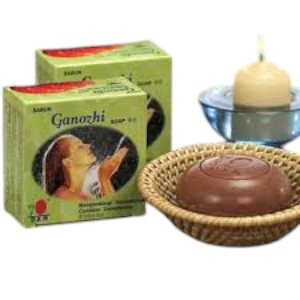 DXN Ganozhi Soap