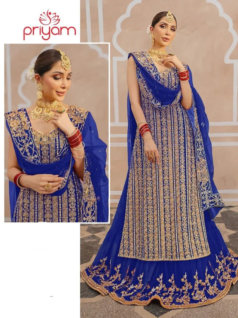 Women's Georgette Party Dress with Embroidered Skirt and Organza Orna