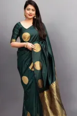 Silk Saree with Afsan Screen Print and Blouse Piece, 6 Colours