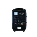 TEV TA-380 80W পোর্টেবল PA সিস্টেম