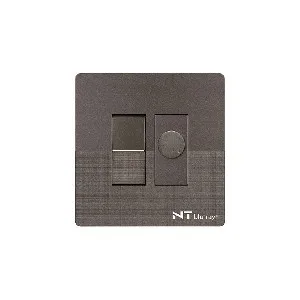 NT blu-ray Chrome Gray 400W ফ্যান ডিমার সুইচসহ