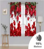3D প্রিন্ট কার্টেন 2 পিস সেট – 5ft x 7ft
