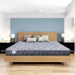 Comfy Ultra Soft ম্যাট্রেস 78"x59.05"x4"