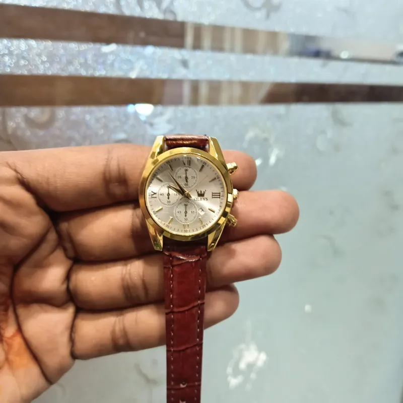 OLEVS ছেলেদের ক্যাজুয়াল কোয়ার্টজ হাতঘড়ি