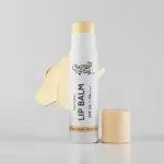 Innovist Chemist At Play সানস্ক্রিনযুক্ত ন্যাচারাল লিপ বাম SPF 50 PA++++ 4.5g