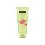 Freeman Watermelon + Aloe কুলিং জেল ফেস মাস্ক 175ml