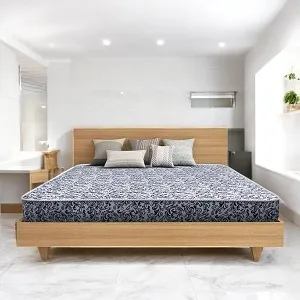 Regal Sleepy ডাবল ম্যাট্রেস M-301