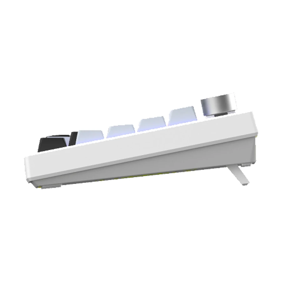 T-Wolf K81 RGB Tri-Mode Green Switch Mechanical Keyboard, Polar White