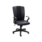 Regal সুইভেল অফিস চেয়ার CSC-211-6-1-66
