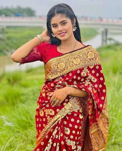 Full Body Zari Work Katan Silk Saree in 6 Colours